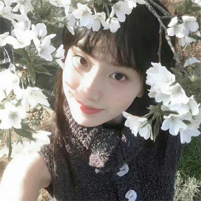 风流如梦