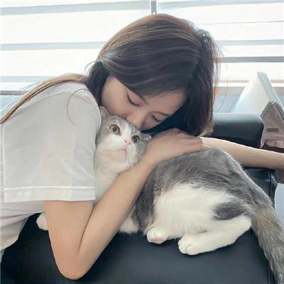 紫禁秘录