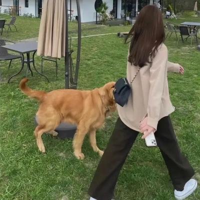 公鸡的啼叫