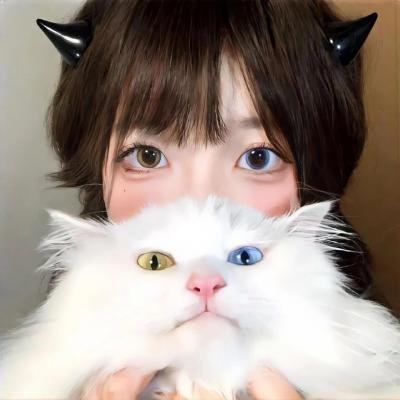 真爱伴鹅行